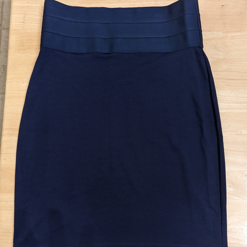 Max Studio skirt